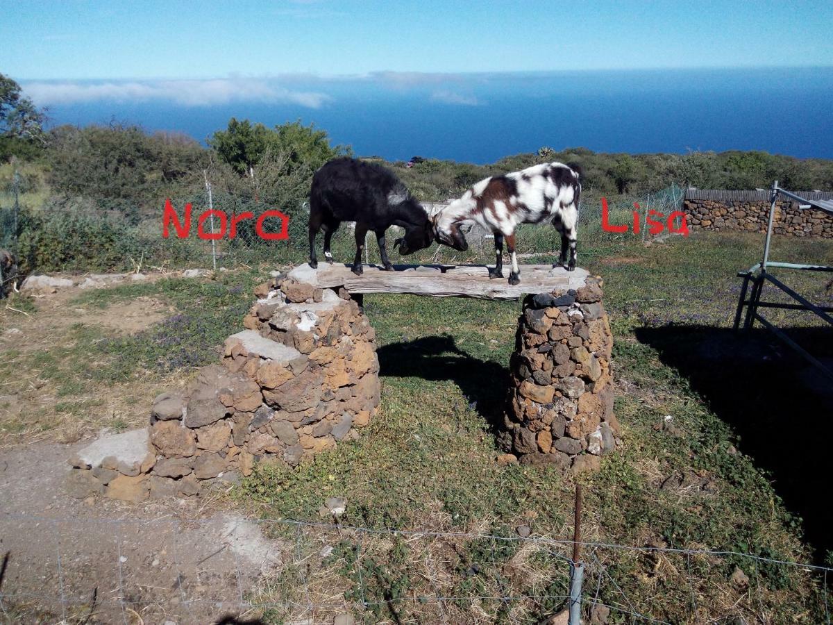 Finca La Ramona Исора Экстерьер фото